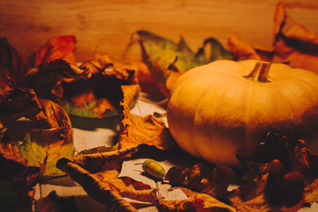 Pumpkin in warm orange light surrounded with fall leavesの写真素材