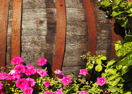 Old wooden barrel in the garden, surrounded with pink flowersの写真素材