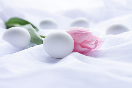 White Easter eggs and pink tulip laying on white fresh linenの写真素材