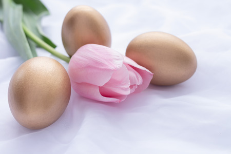 Three golden Easter eggs and pink tulip laying on white fresh linenの写真素材