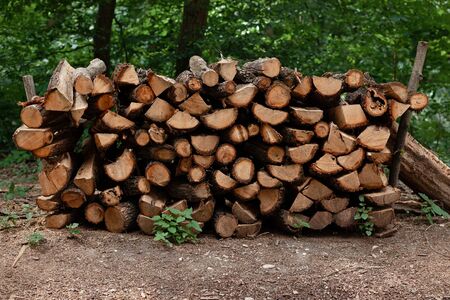 Pile of firewood, logs stacked in the forest