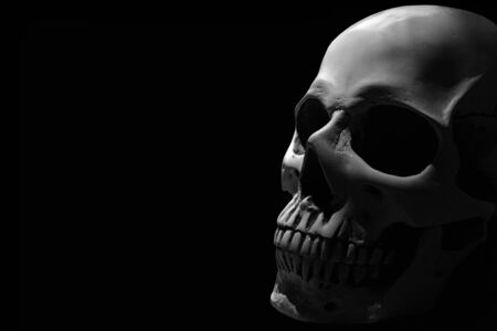White human skull on the black background partly in shadowの写真素材