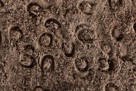 Many horseshoe marks in the sand in horse arenaの写真素材