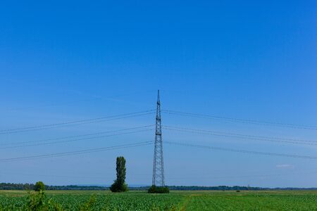 High voltage power lines on bright  blue sky in the field, landscapeの写真素材