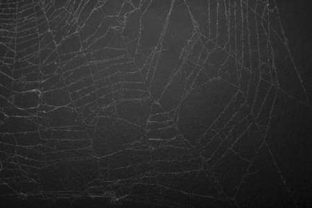 Big, old, dirty and spooky spider web in corner on black backgroundの写真素材
