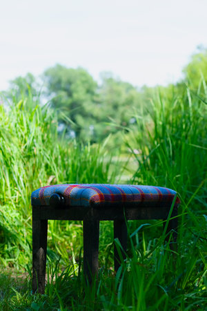 Abandoned upholstered chair in tall grassの写真素材