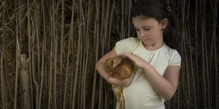 Seven years old girl in countryside holding a chick.の写真素材