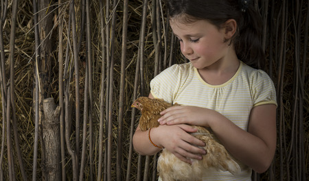 Seven years old girl in countryside holding a chick.の写真素材