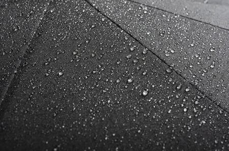 Black waterproof umbrella texture with water dropletsの写真素材