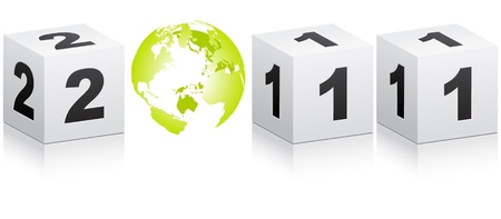 year 2011