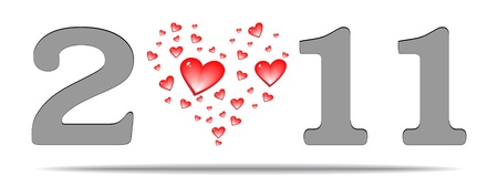 year 2011
