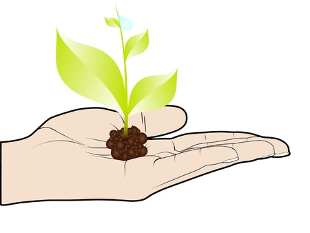green plant in human handのイラスト素材
