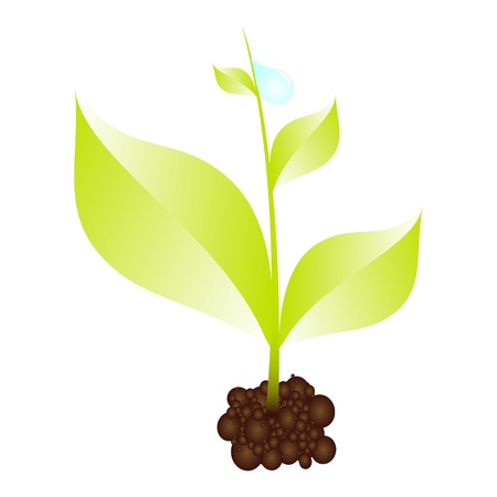 green plantのイラスト素材