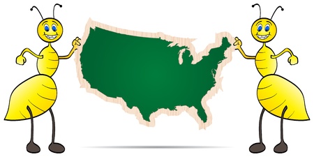american map のイラスト素材