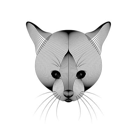 Vector illustration of cat on white backgroundのイラスト素材