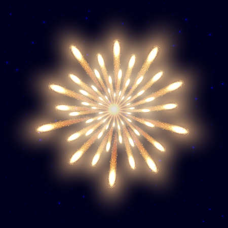 Fireworks on the night sky background. Vector illustrationのイラスト素材