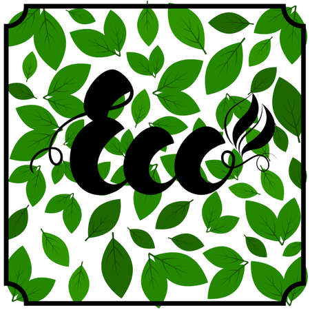 Lettering Eco black color, on green leaves background. Vector illustration for labels, stickers, banners, flyers, and more. Vector illustration. EPS10のイラスト素材