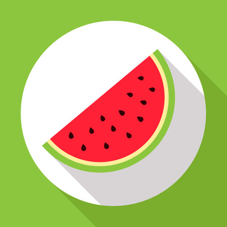 Watermelon flat icon with long shadow. Modern flat style.のイラスト素材