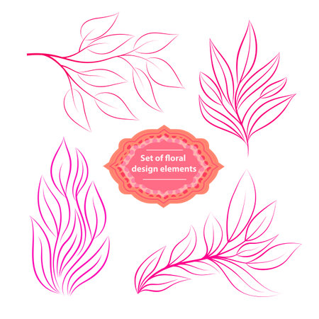 Set of floral decorative design elements for invitations, greeting cards and other items. Vector illustrations isolated on white backgroundのイラスト素材