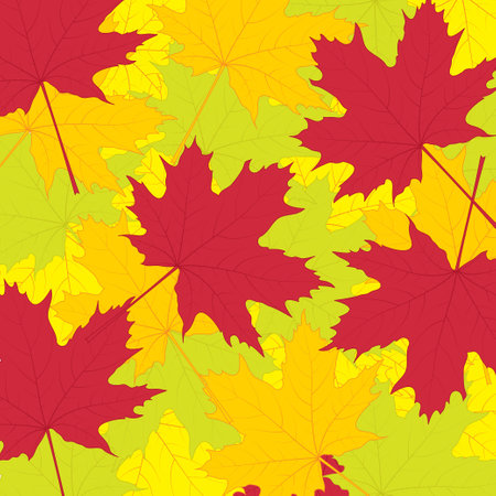 illustration of autumn colorful maple leaves.の写真素材