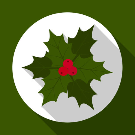 Holly berry on green background with long shadow. illustration for Christmas and New Year card. Flat design. .の写真素材