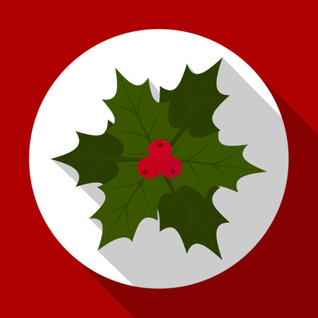 Holly berry on red background with long shadow. illustration for Christmas and New Year card. Flat design. .の写真素材