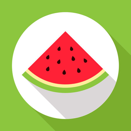 Watermelon flat icon with long shadow. Modern flat style. illustration. .の写真素材