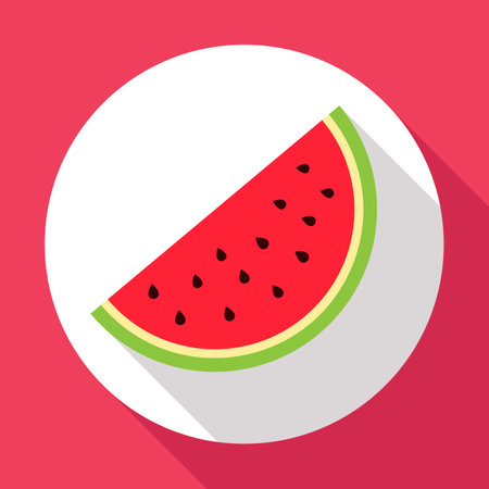 Watermelon flat icon with long shadow. Modern flat style. illustration. .の写真素材