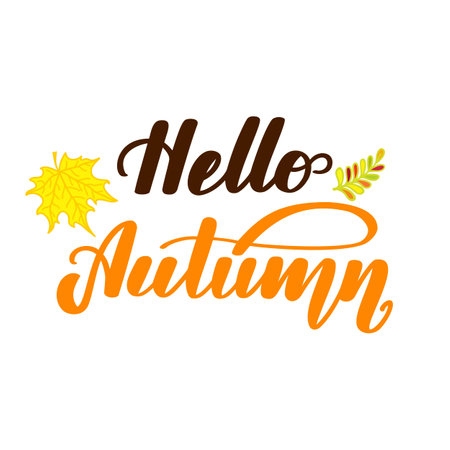Hello autumn. Handwritten lettering isolated on white background. illustration for posters, cards and much more.の写真素材