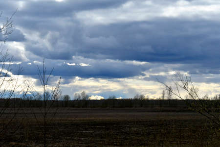 Thunderclouds gathered over the dark field. The sun peeps through the clouds. Bare tree branches.