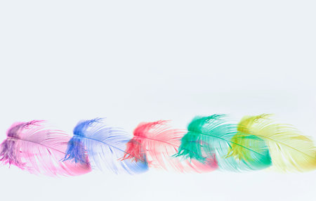 Multi-colored little feathers on a white background. Bird feathers lie.の写真素材