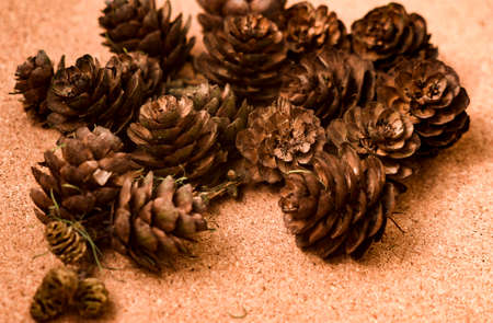 Lots of pine cones on a brown cork background. Close-up.