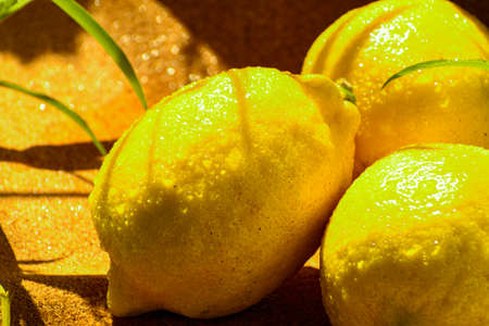 Lemons close-up. Water droplets on a yellow peel. Leaves of green grass. Contrast of shadows.の写真素材