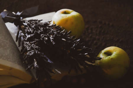 Reading a book in autumn. A bunch of dried flowers. Sour green apples. Dark background.の写真素材