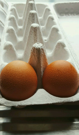 2 eggs in otherwise empty egg carton, focus on eggs in foreground.