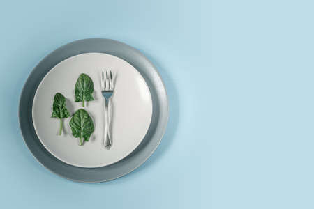 Green spinach leaves and fork on a plate on blue background, healthy eating and diet conceptの写真素材