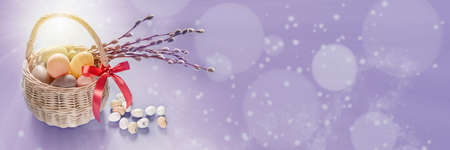 Easter banner with colorful Easter eggs in the basket and pussy willow branches on purple bokeh background with copy space. Happy Easter greeting cardの写真素材