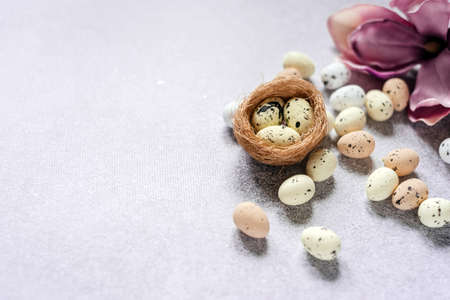 Easter minimal background colorful dotted Easter eggs in birds nest and purple magnolia flower with...