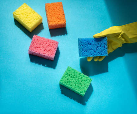 Gloved hand holding colorful cleaning sponge on blue background. Cleaning service and spring...