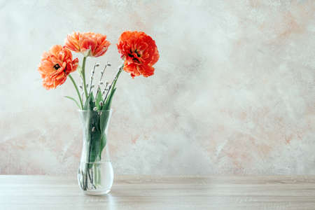 A bouquet of red double tulips in a vase, spring flowers Easter and Womens day backgroundの写真素材