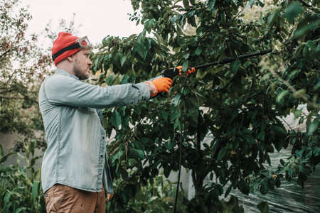 Man spraying aphids affected tree with insecticidal soap, agricultural worker spraying toxic pesticides or insecticides on fruit growing plantationの写真素材