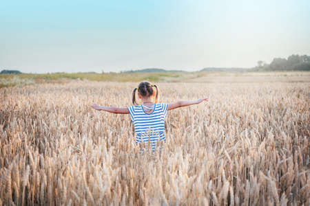 Back view of a child girl wearing two pony tails with stretched hands in the yellow wheat field at sunset summer landscape, summer agricultural background with ripe wheat spikesの写真素材