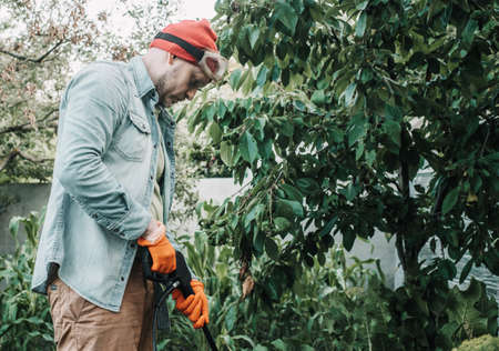 Man spraying aphids affected tree with insecticidal soap, agricultural worker spraying toxic pesticides or insecticides on fruit growing plantationの写真素材