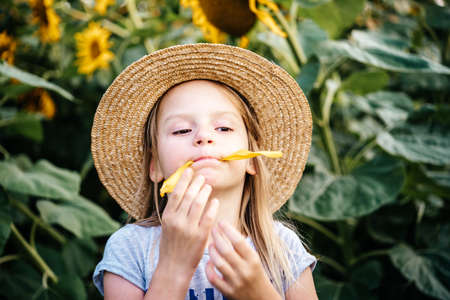 Little girl in a straw hat with moustaches made of sunflower petals among big sunflowers in the sunflower field, children among sunflowers summer backgroundの写真素材