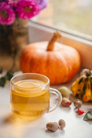 Cozy autumn composition with a cup of lemon tea, pumpkins, and acornsの写真素材