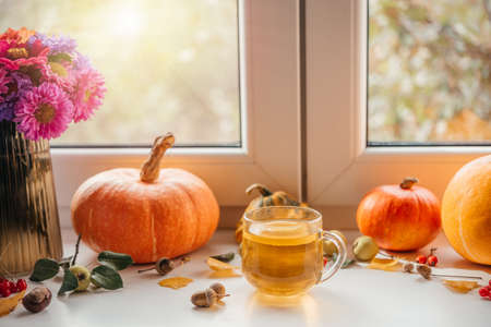 Cozy autumn composition with a cup of lemon tea, pumpkins, and acornsの写真素材