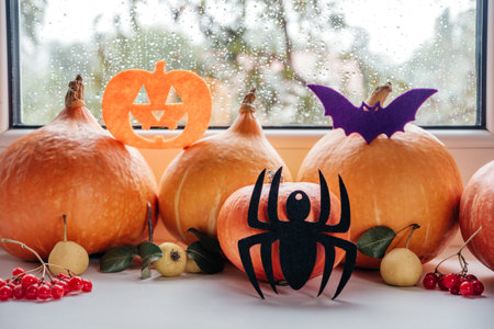 Halloween pumpkins, handmade spider, bat, and jack o lantern backgroundの写真素材