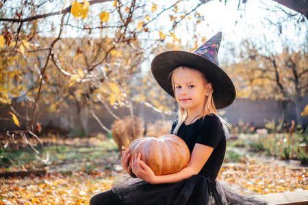 Halloween little girl in witch hat holding a pumpkin with yellow leaves on the backgroundの写真素材