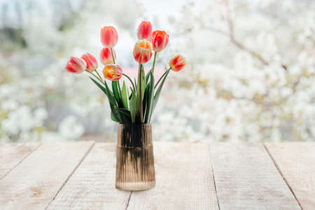 A bunch of pink and yellow tulips in vase with white blooming trees on the bacgkroundの写真素材