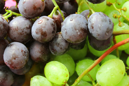 grapesの写真素材